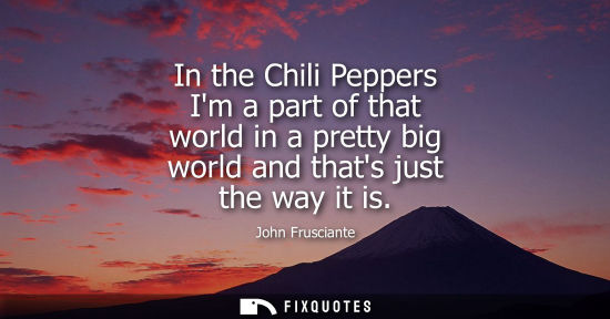 Small: In the Chili Peppers Im a part of that world in a pretty big world and thats just the way it is