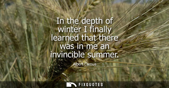 Small: In the depth of winter I finally learned that there was in me an invincible summer - Albert Camus