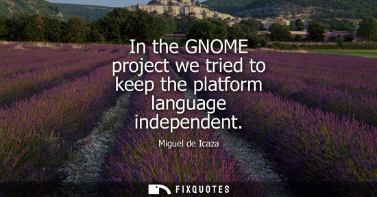 Small: In the GNOME project we tried to keep the platform language independent