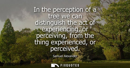 Small: In the perception of a tree we can distinguish the act of experiencing, or perceiving, from the thing experien