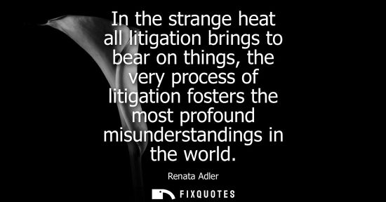 Small: In the strange heat all litigation brings to bear on things, the very process of litigation fosters the