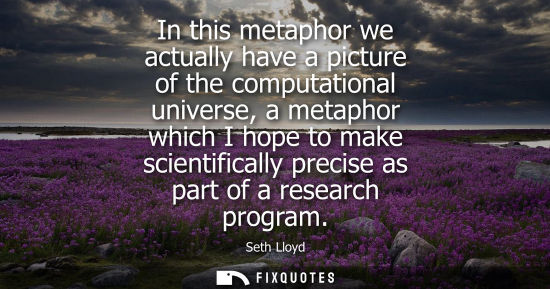 Small: In this metaphor we actually have a picture of the computational universe, a metaphor which I hope to m