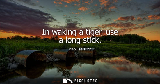 Small: In waking a tiger, use a long stick