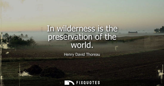 Small: In wilderness is the preservation of the world