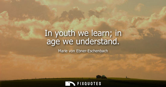 Small: In youth we learn in age we understand