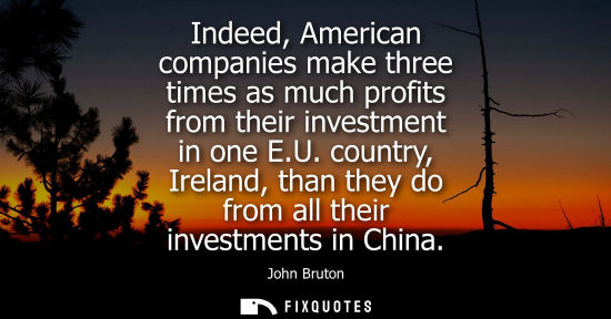 Small: Indeed, American companies make three times as much profits from their investment in one E.U. country, 