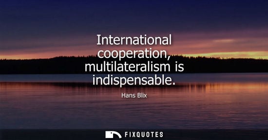 Small: International cooperation, multilateralism is indispensable