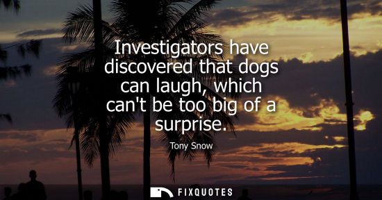 Small: Investigators have discovered that dogs can laugh, which cant be too big of a surprise