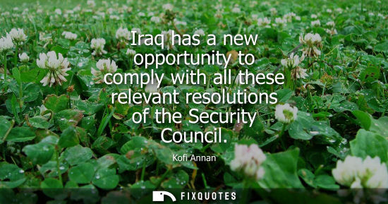 Small: Iraq has a new opportunity to comply with all these relevant resolutions of the Security Council
