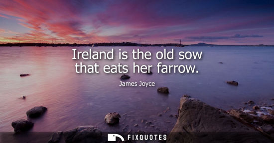 Small: Ireland is the old sow that eats her farrow