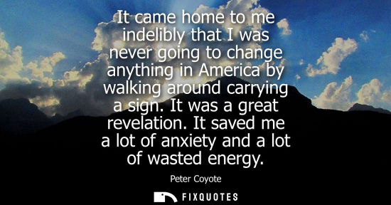 Small: It came home to me indelibly that I was never going to change anything in America by walking around car