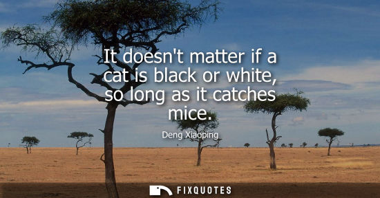 Small: It doesnt matter if a cat is black or white, so long as it catches mice