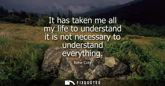 Small: It has taken me all my life to understand it is not necessary to understand everything