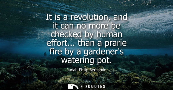 Small: It is a revolution, and it can no more be checked by human effort... than a prarie fire by a gardeners 