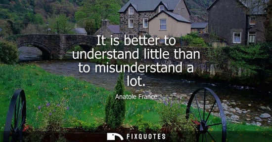 Small: Anatole France: It is better to understand little than to misunderstand a lot
