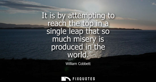 Small: It is by attempting to reach the top in a single leap that so much misery is produced in the world