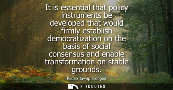 Small: It is essential that policy instruments be developed that would firmly establish democratization on the