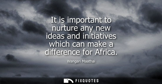Small: It is important to nurture any new ideas and initiatives which can make a difference for Africa - Wangari Maat