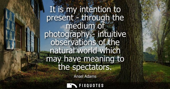 Small: It is my intention to present - through the medium of photography - intuitive observations of the natur