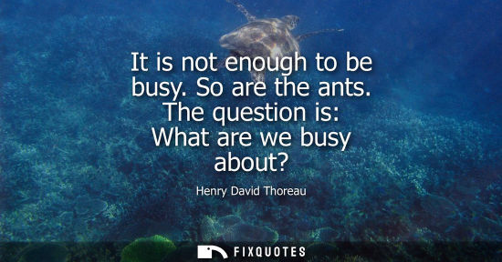 Small: It is not enough to be busy. So are the ants. The question is: What are we busy about? - Henry David Thoreau