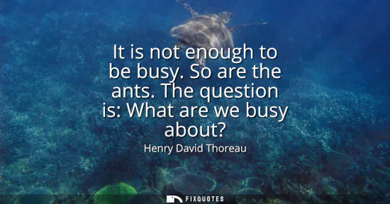 Small: It is not enough to be busy. So are the ants. The question is: What are we busy about?