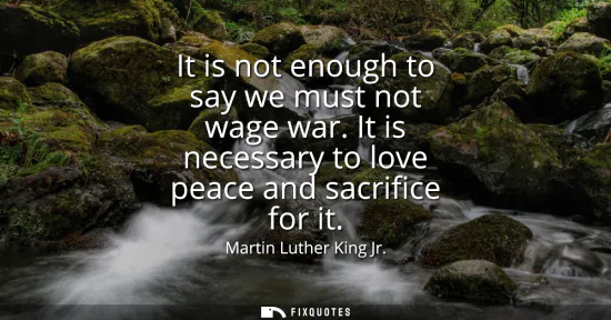 Small: It is not enough to say we must not wage war. It is necessary to love peace and sacrifice for it