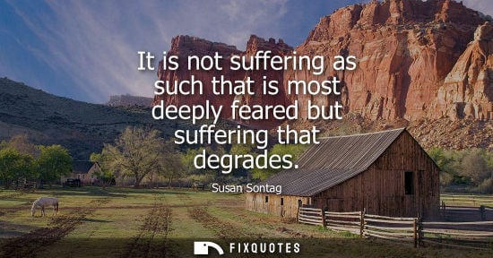 Small: It is not suffering as such that is most deeply feared but suffering that degrades