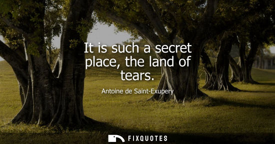 Small: It is such a secret place, the land of tears - Antoine de Saint-Exupery