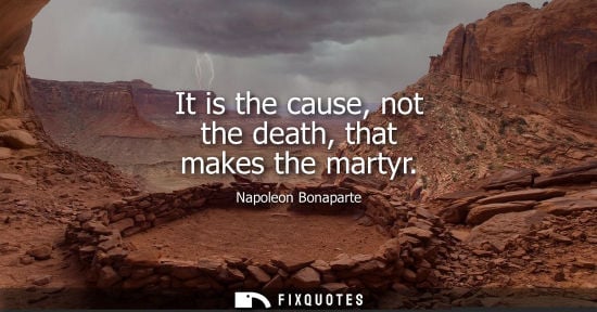 Small: It is the cause, not the death, that makes the martyr - Napoleon Bonaparte