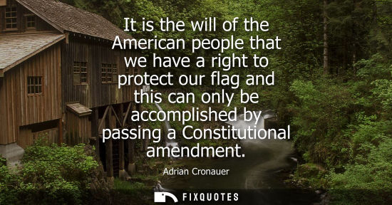 Small: It is the will of the American people that we have a right to protect our flag and this can only be acc