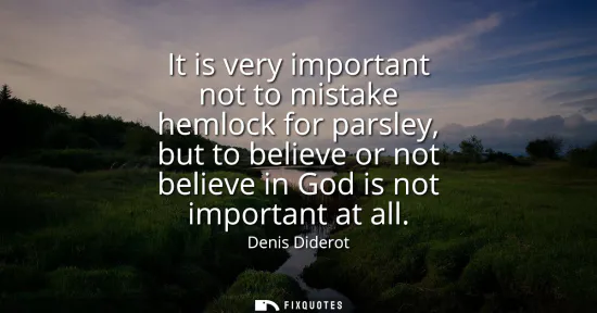 Small: It is very important not to mistake hemlock for parsley, but to believe or not believe in God is not important