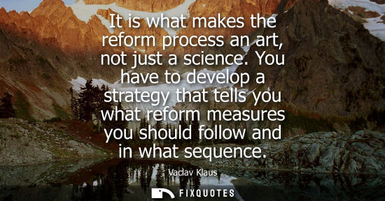 Small: It is what makes the reform process an art, not just a science. You have to develop a strategy that tel