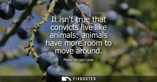 Small: It isnt true that convicts live like animals: animals have more room to move around