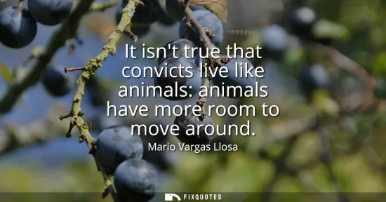 Small: It isnt true that convicts live like animals: animals have more room to move around