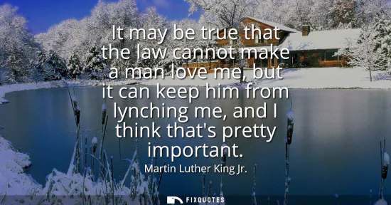 Small: It may be true that the law cannot make a man love me, but it can keep him from lynching me, and I think thats