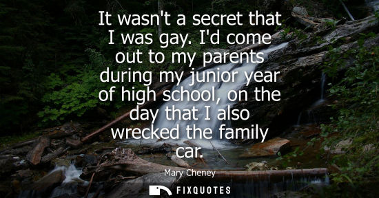 Small: It wasnt a secret that I was gay. Id come out to my parents during my junior year of high school, on th