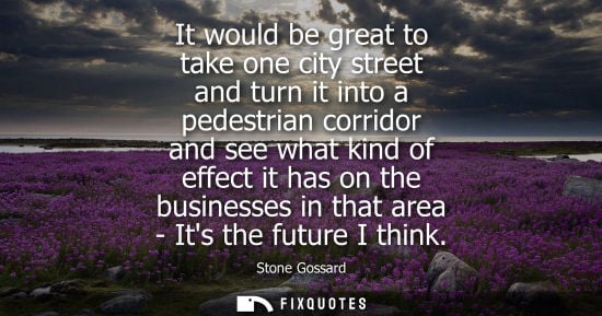 Small: It would be great to take one city street and turn it into a pedestrian corridor and see what kind of e