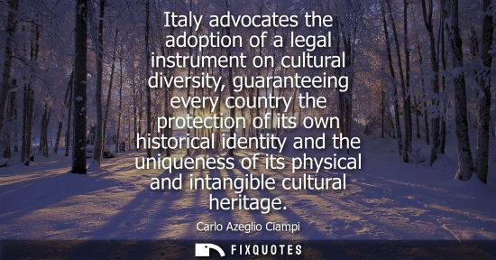 Small: Italy advocates the adoption of a legal instrument on cultural diversity, guaranteeing every country th