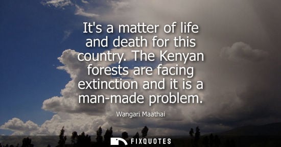 Small: Its a matter of life and death for this country. The Kenyan forests are facing extinction and it is a man-made