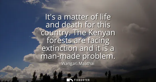 Small: Its a matter of life and death for this country. The Kenyan forests are facing extinction and it is a man-made