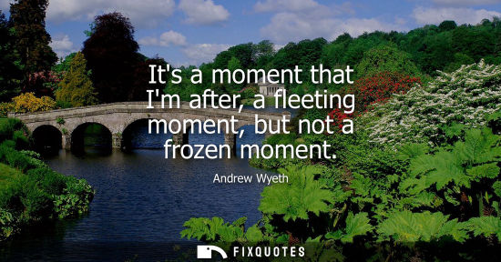 Small: Its a moment that Im after, a fleeting moment, but not a frozen moment