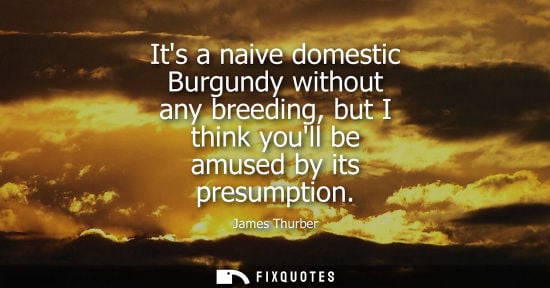 Small: James Thurber: Its a naive domestic Burgundy without any breeding, but I think youll be amused by its presumpt