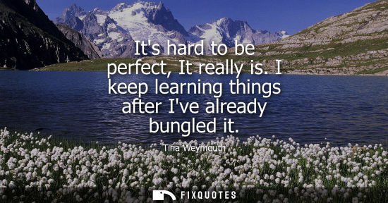Small: Its hard to be perfect, It really is. I keep learning things after Ive already bungled it