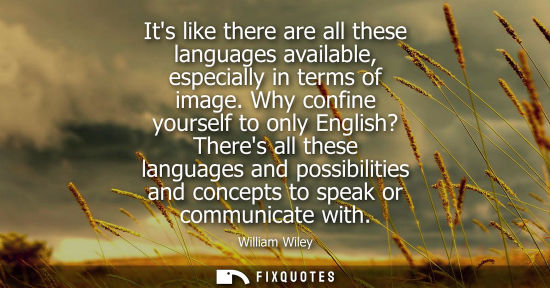 Small: Its like there are all these languages available, especially in terms of image. Why confine yourself to