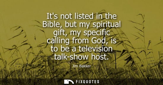 Small: Its not listed in the Bible, but my spiritual gift, my specific calling from God, is to be a television talk-s