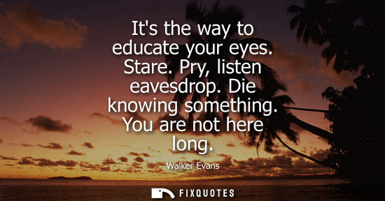 Small: Its the way to educate your eyes. Stare. Pry, listen eavesdrop. Die knowing something. You are not here