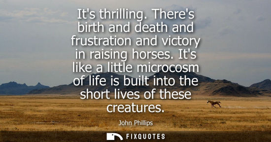 Small: Its thrilling. Theres birth and death and frustration and victory in raising horses. Its like a little 