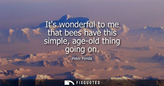Small: Its wonderful to me that bees have this simple, age-old thing going on