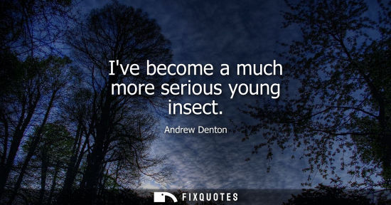Small: Andrew Denton: Ive become a much more serious young insect
