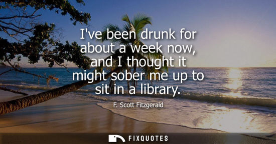 Small: Ive been drunk for about a week now, and I thought it might sober me up to sit in a library